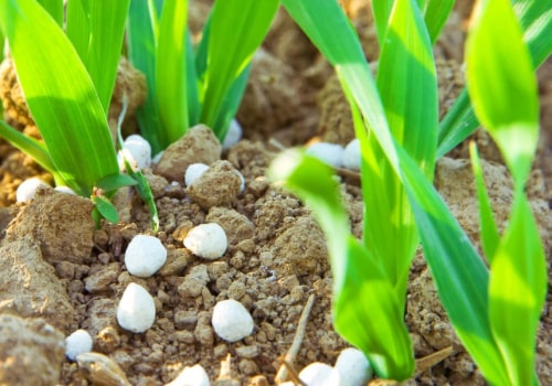 The Essential Nutrients for Plant Growth and Reproduction
