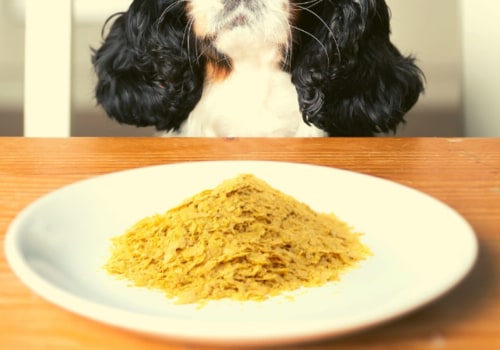 Is Nutritional Yeast Safe for Dogs to Eat?